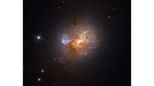 Dwarf starburst galaxy Henize 2-10 - SCIENCE: NASA, ESA, Zachary Schutte (XGI), Amy Reines (XGI)
IMAGE PROCESSING: Alyssa Pagan (STScI)