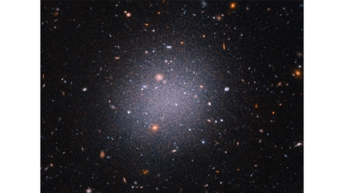 galaxy NGC 1052-DF2 - SCIENCE: NASA, ESA, STScI, Zili Shen (Yale), Pieter van Dokkum (Yale), Shany Danieli (IAS)
IMAGE PROCESSING: Alyssa Pagan (STScI)