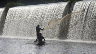 Il sacro fiume Osun inquinato dai cercatori d’oro