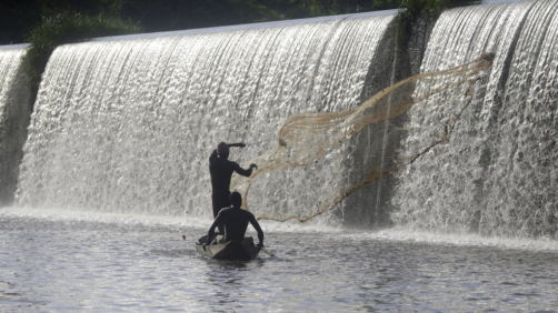 Fishermen cast a net near a dam that sources the sacred Osun River in Esa-Odo, Nigeria, on Saturday, May 28, 2022. (AP Photo/Sunday Alamba)