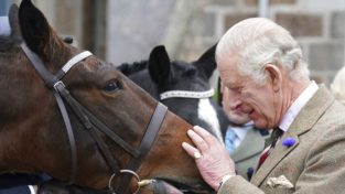 Re Carlo III venderà 12 cavalli da corsa della Regina