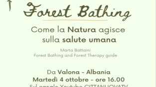 Il bagno di foresta: come la natura agisce sulla salute umana