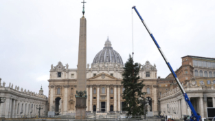 È arrivato in Vaticano l’albero di Natale