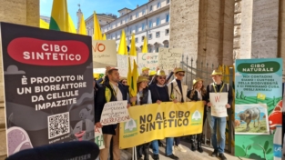 Manifestazioni in Italia contro il cibo sintetico