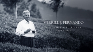 Merrill J. Fernando e il tè cingalese