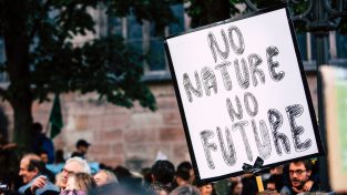 Ecoansia, il peso psicologico della crisi climatica durante la COP28