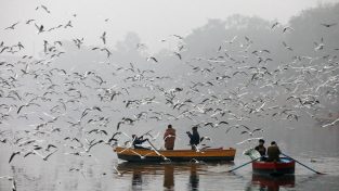 La stagione delle migrazioni in India
