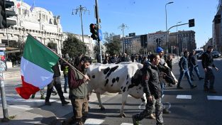La protesta degli agricoltori e le alleanze possibili