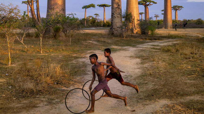 Ragazzi che corrono con i cerchi lungo il viale dei baobab, Madagascar, 2019. ( Foto Ansa US, Steve McCurry)